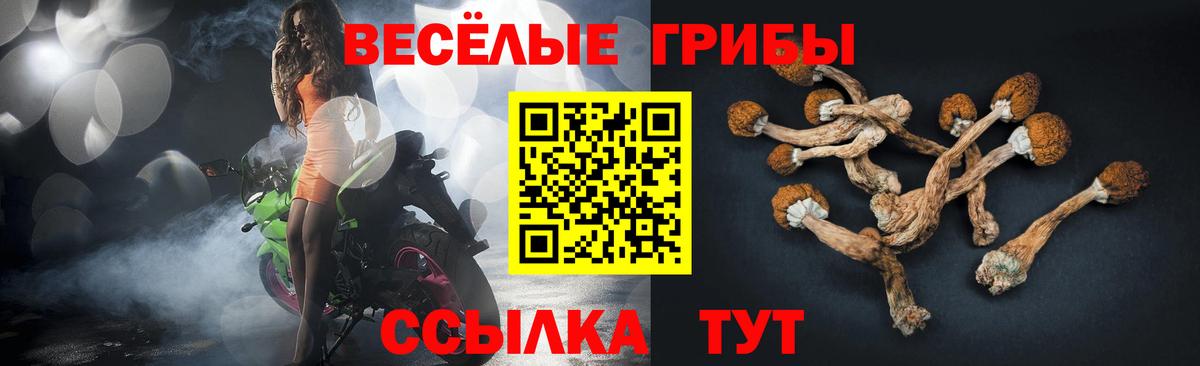 Галлюциногенные грибы GOLDEN TEACHER  Галлюциногенные грибы GOLDEN TEACHER  Владивосток  Вход с VPN 